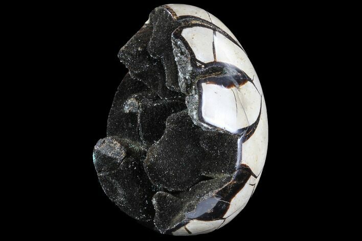 Septarian Dragon Egg Geode - Barite Crystals #88522